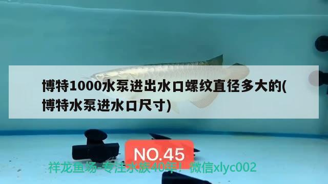 博特1000水泵進(jìn)出水口螺紋直徑多大的(博特水泵進(jìn)水口尺寸)