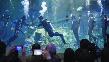 1.6米魚(yú)缸多少升水：為了計(jì)算1.6米魚(yú)缸能裝多少升水魚(yú)缸多少升水