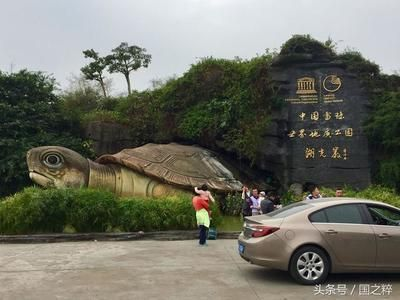 湛江龍魚vs祥龍魚場（湛江龍魚與祥龍魚場有什么區別？）