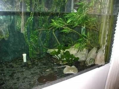 pvc管自制陽臺魚缸方法：pvc管自制陽臺魚缸的優點和用途