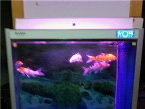 森森水族投訴電話