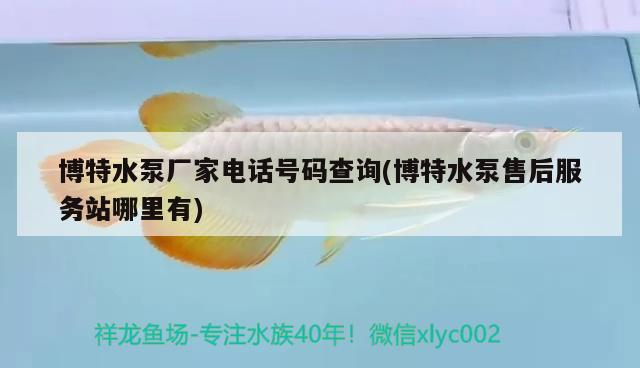 博特水泵廠家電話號碼查詢(博特水泵售后服務站哪里有)