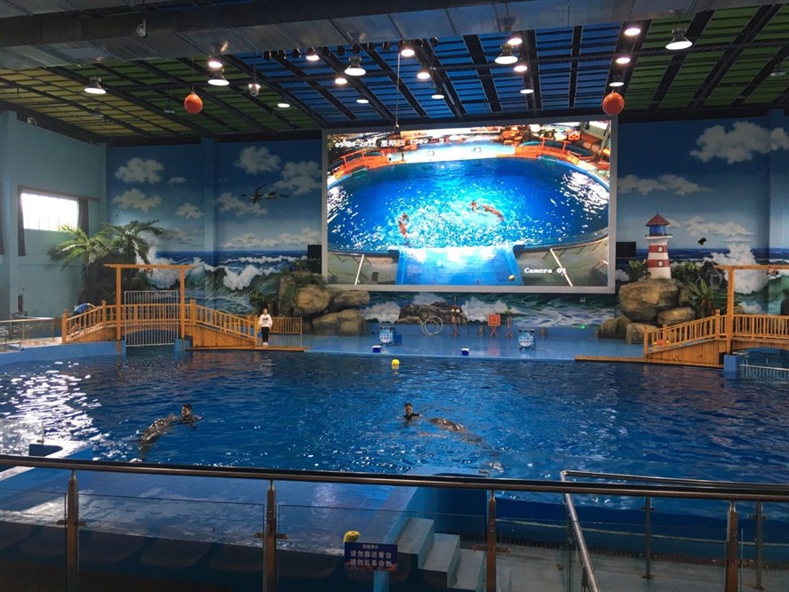 灞橋區水族館vs祥龍魚場（灞橋區水族館與祥龍魚場）
