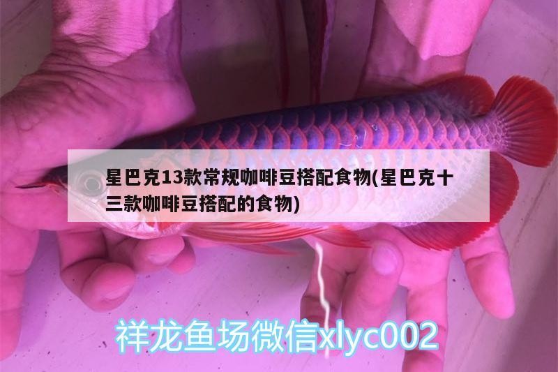 星巴克13款常規咖啡豆搭配食物(星巴克十三款咖啡豆搭配的食物)