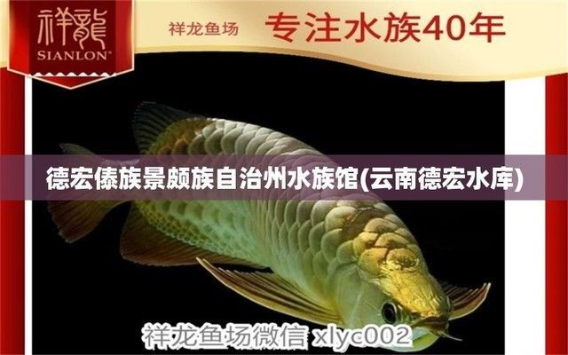 德宏傣族景頗族自治州水族館vs祥龍魚場（云南德宏傣族景頗族自治州水族館位于中國云南省西部）