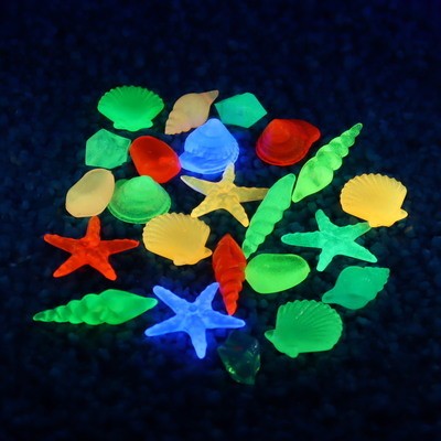 紅龍魚是海魚嗎圖片大全