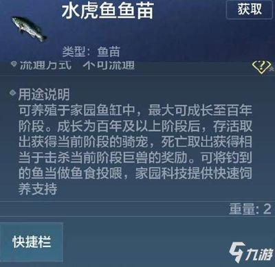 虎魚不長明會怎么樣:如果虎魚長時間不長明,可能會對其產生以下影響,虎魚會怎么樣 虎魚百科 第2張 虎魚不長明會怎么樣:如果虎魚長時間不長明,可能會對其產生以下影響,虎魚會怎么樣 虎魚不長明會怎么樣:如果虎魚長時間不長明,可能會對其產生以下影響,虎魚會怎么樣 虎魚百科 第2張