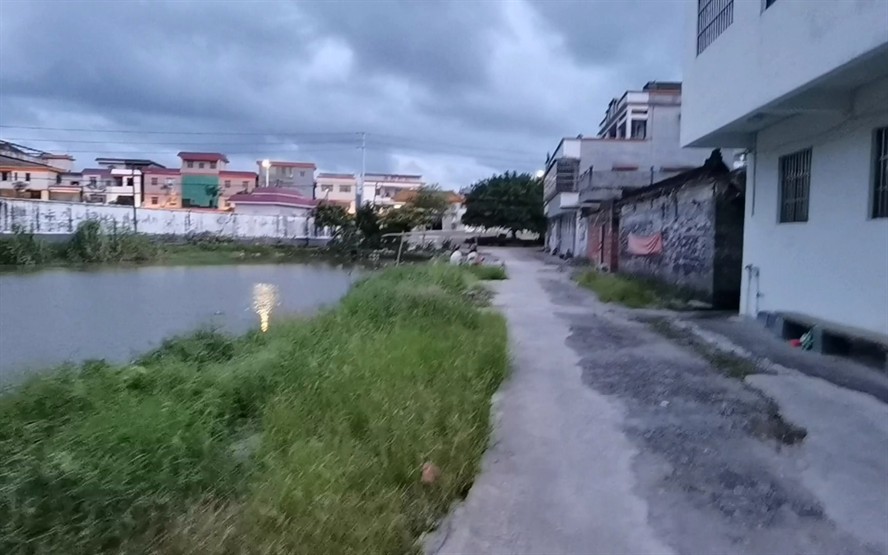 阿壩藏族羌族自治州龍魚vs祥龍魚場(chǎng)（“阿壩藏族羌族自治州龍魚”的具體信息分析祥龍魚批發(fā)）