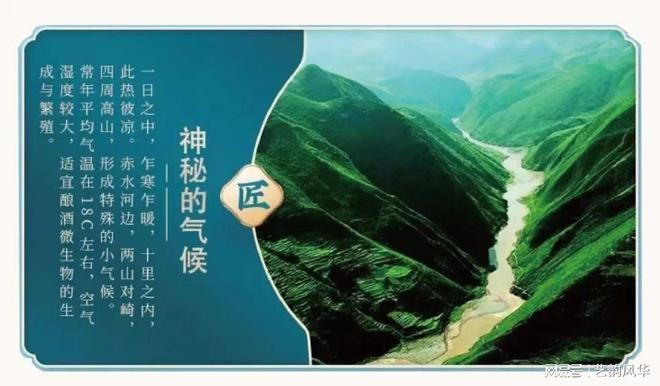 阿壩藏族羌族自治州龍魚vs祥龍魚場(chǎng)（“阿壩藏族羌族自治州龍魚”的具體信息分析祥龍魚批發(fā)）