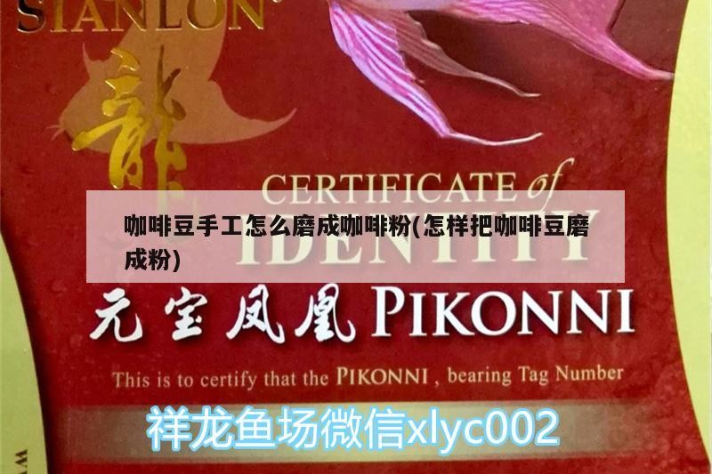 咖啡豆手工怎么磨成咖啡粉(怎樣把咖啡豆磨成粉)