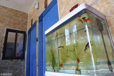 玻璃魚缸自制過程：自制玻璃魚缸的基本步驟