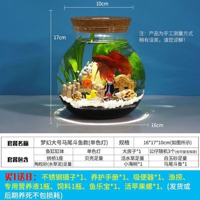 玻璃魚缸自制過程：自制玻璃魚缸的基本步驟