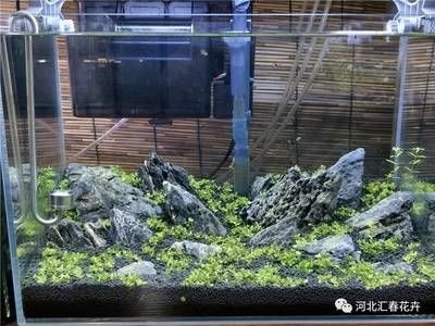 不想要的魚缸怎么處理干凈：如何處理不想要的魚缸
