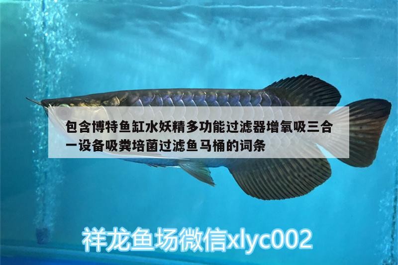 包含博特魚缸水妖精多功能過濾器增氧吸三合一設備吸糞培菌過濾魚馬桶的詞條