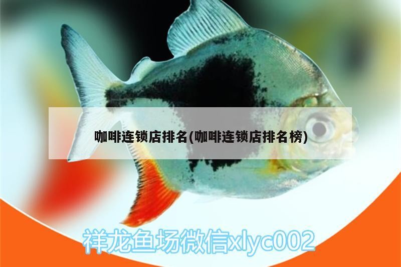咖啡連鎖店排名(咖啡連鎖店排名榜)