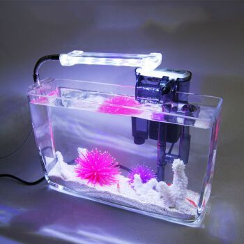 1號(hào)水族魚(yú)缸價(jià)格及圖片：1號(hào)水族魚(yú)缸價(jià)格及圖片信息