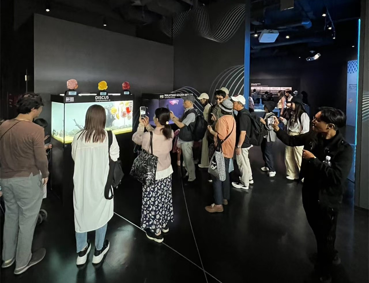 祥龍魚場受邀代表馬來西亞參加2025年大阪世博會