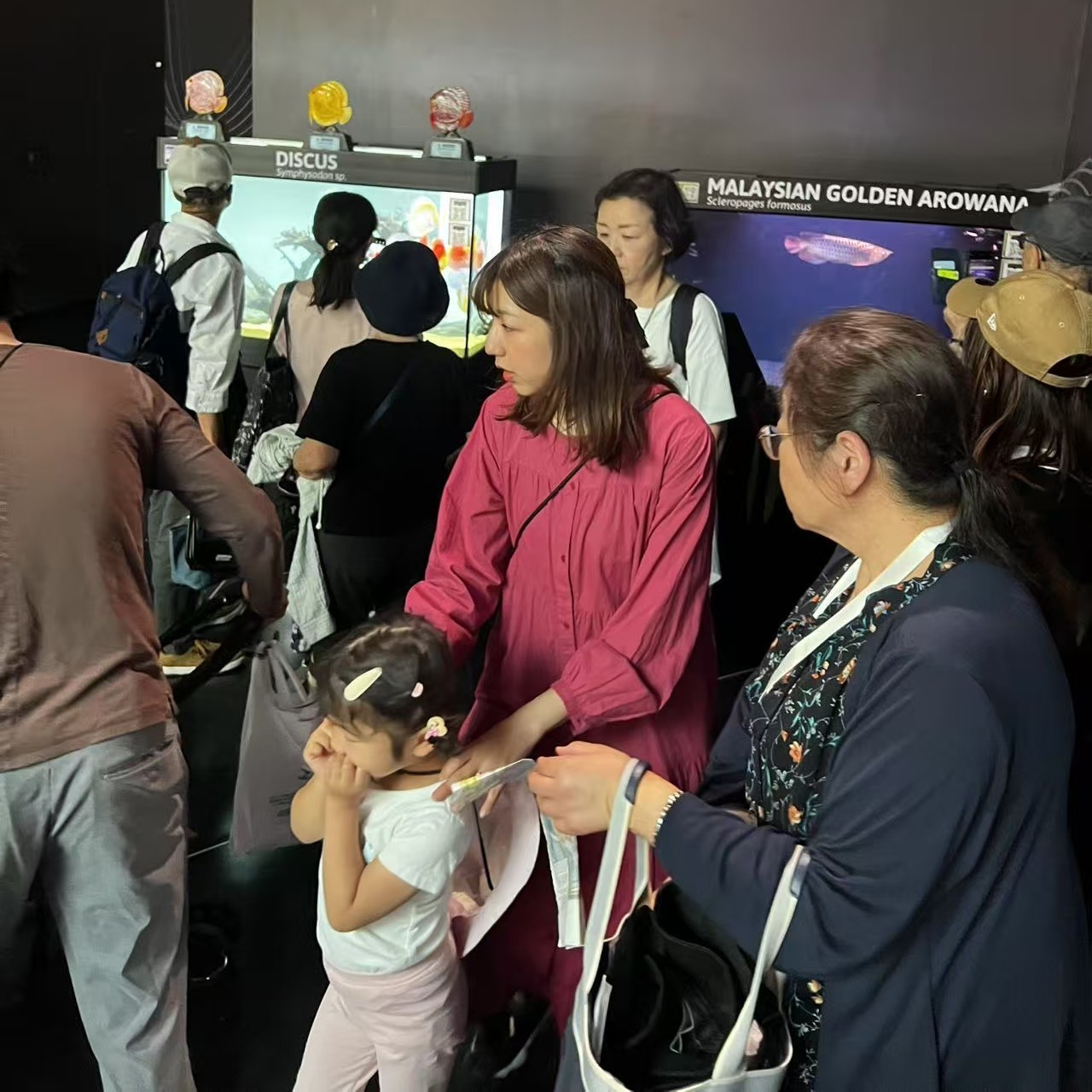 祥龍魚場受邀代表馬來西亞參加2025年大阪世博會