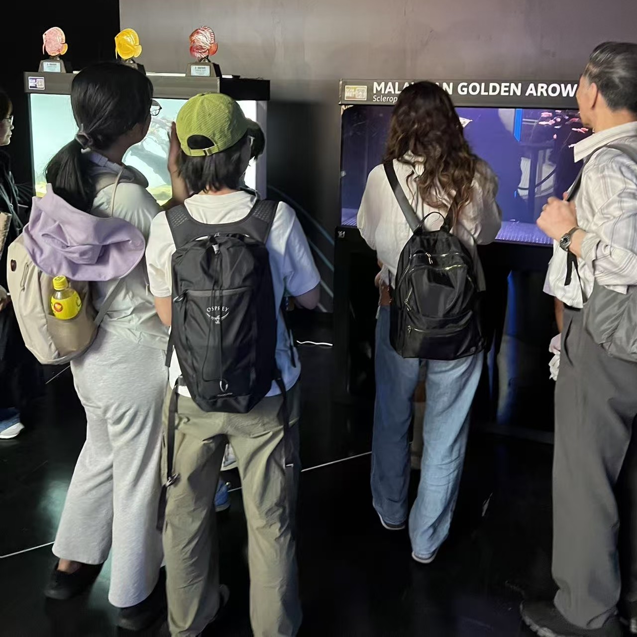 祥龍魚場受邀代表馬來西亞參加2025年大阪世博會