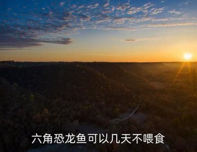 紅龍魚不吃東西怎么解決：紅龍魚不吃東西可能由多種原因引起水質問題、飲食問題、環境變化等