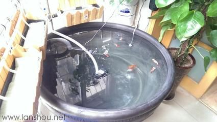 100的魚缸多少升水：100升水的魚缸多少升水