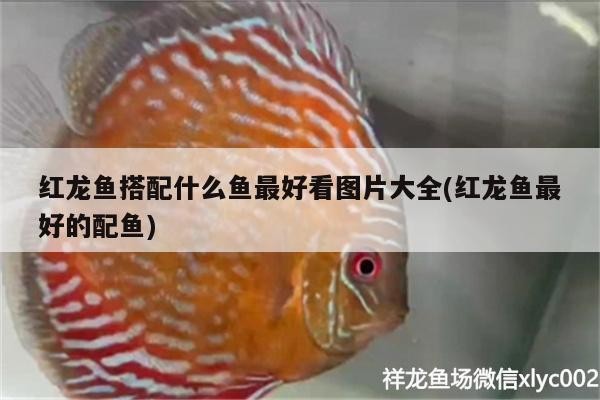 生態魚缸的價位一般是多少合適