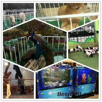 慈溪二手魚缸轉讓市場：關于慈溪二手魚缸轉讓市場的相關信息