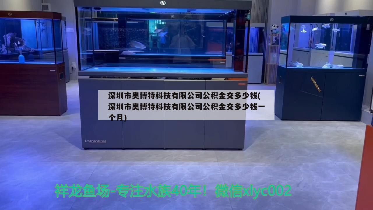 深圳市奧博特科技有限公司公積金交多少錢(深圳市奧博特科技有限公司公積金交多少錢一個月)