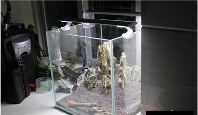 超白魚缸刮花了：超白魚缸刮花怎么辦？