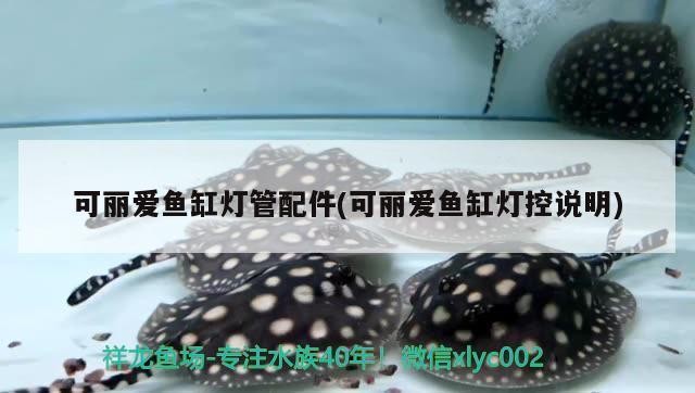 創(chuàng)寧變頻水泵cn8300衰減（創(chuàng)寧變頻水泵衰減原因）