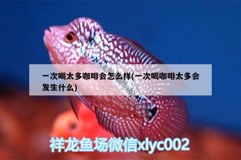 一次喝太多咖啡會怎么樣(一次喝咖啡太多會發生什么)