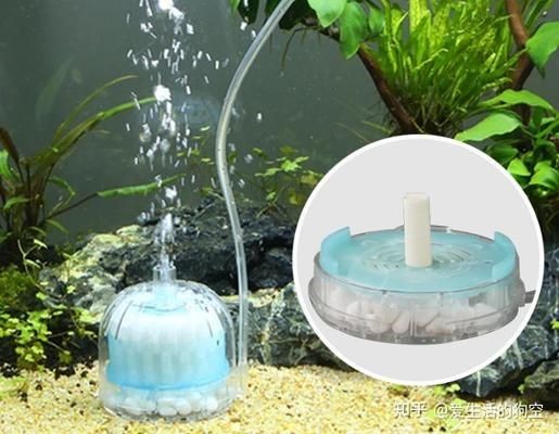 2.4米魚缸用什么過濾器好些：2.4米長的魚缸過濾器的優點是不占用水族箱的優點