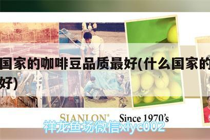 哪個國家的咖啡豆品質最好(什么國家的咖啡豆最好)