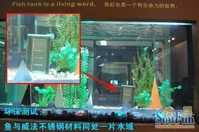 fishtank魚缸咖啡：fishtank魚缸咖啡廳
