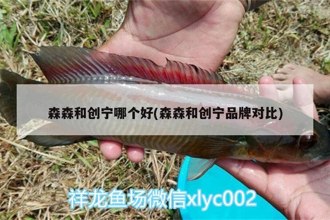 森森和創寧哪個好(森森和創寧品牌對比)