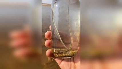 森森1518f配件