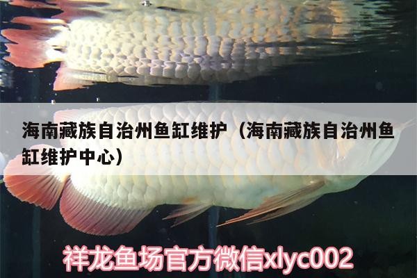海南藏族自治州魚缸維護（海南藏族自治州魚缸維護中心）