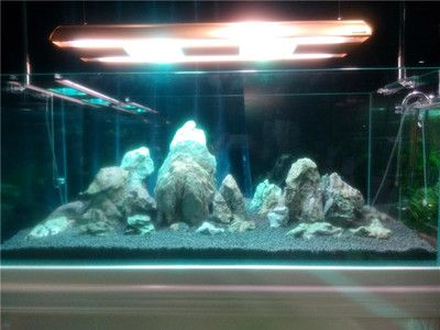 50魚缸造景骨架：50厘米魚缸造景-棲木草缸造景