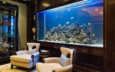 大魚缸家里可以隨便放嗎：家中魚缸擺放風水學