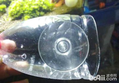 5個(gè)礦泉水瓶魚缸多大合適：如何用礦泉水瓶做魚缸？