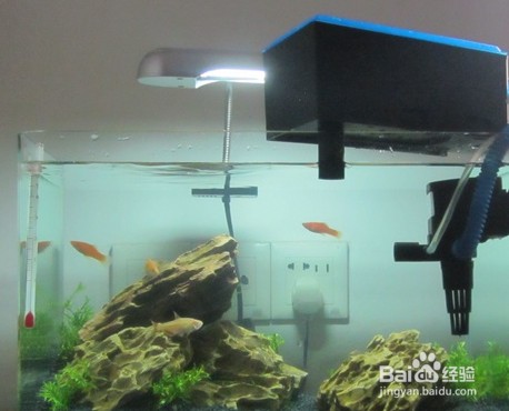 滿洲里市書藝水族館（滿洲里市書藝水族館電話）