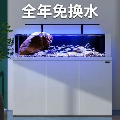 森森和新漢江哪個好
