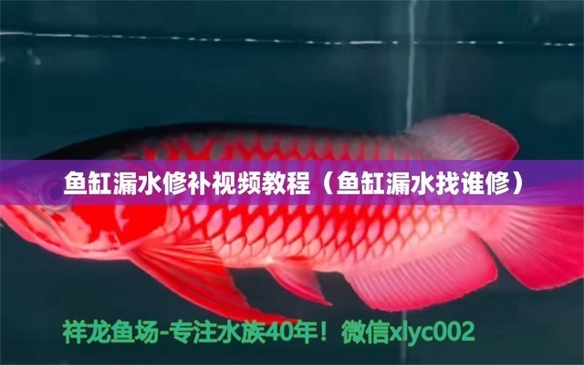 秦皇島二手魚缸出售信息最新