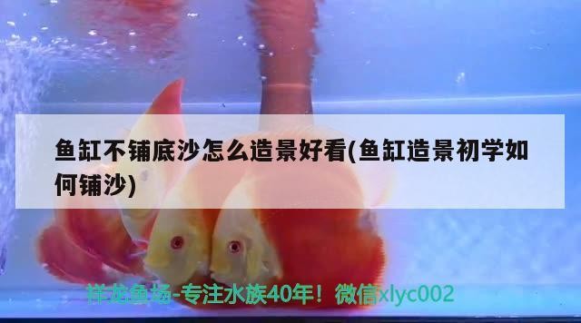 彩蝶魚缸安裝完畢后晃動如何處理好(彩蝶魚缸裝滿水為什么會晃動)