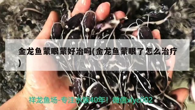 金龍魚蒙眼蒙好治嗎(金龍魚蒙眼了怎么治療)