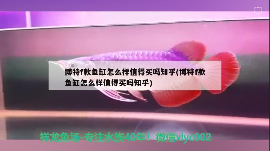 博特f款魚缸怎么樣值得買嗎知乎(博特f款魚缸怎么樣值得買嗎知乎)