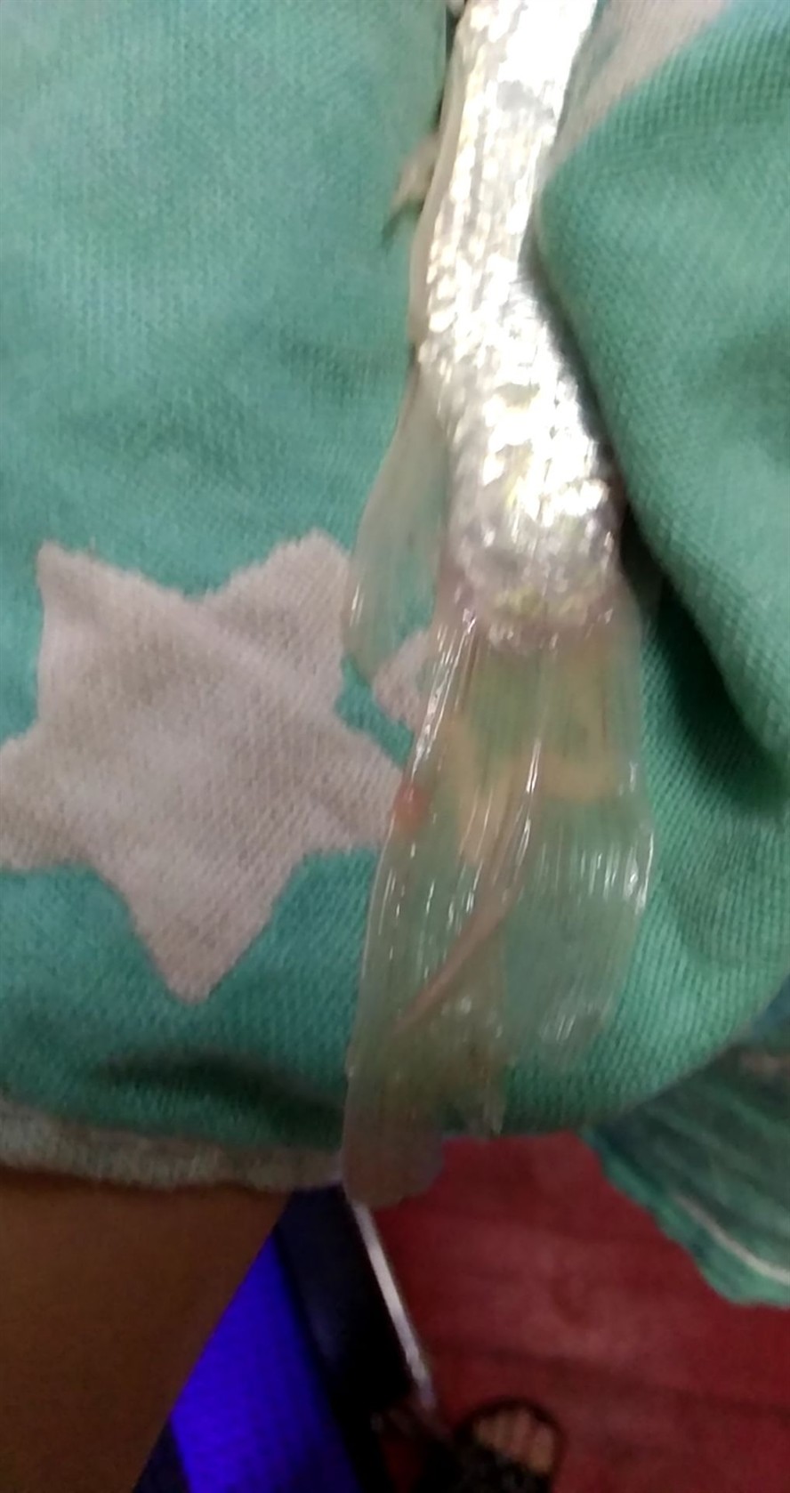 森森除油膜怎么用 森森除油膜怎么用 森森魚缸 第2張