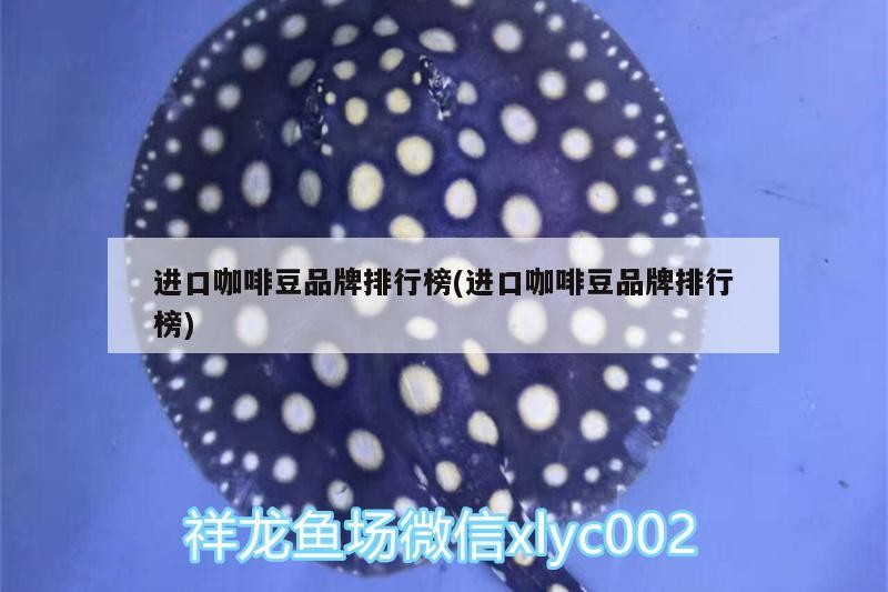 進口咖啡豆品牌排行榜(進口咖啡豆品牌排行榜)