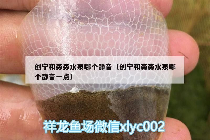 創寧和森森水泵哪個靜音（創寧和森森水泵哪個靜音一點）