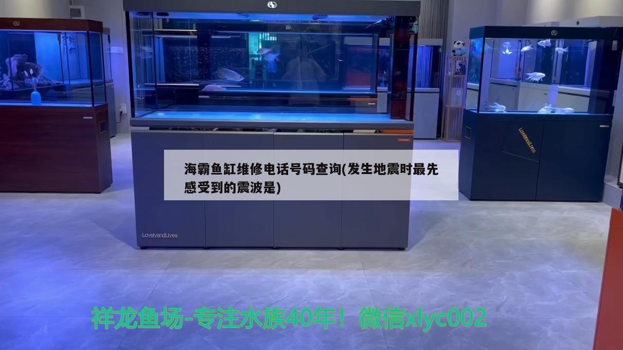 海霸魚缸維修電話號碼查詢(發生地震時最先感受到的震波是)